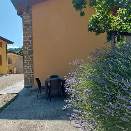 Santa Croce 파나노